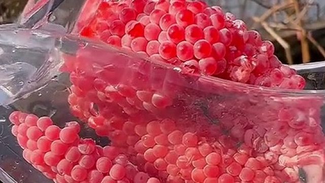 福寿螺找到了它存在的真正意义 好解压