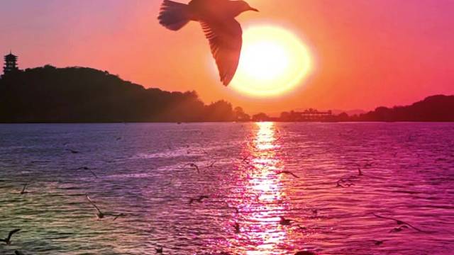 夕阳无限好 只是近黄昏