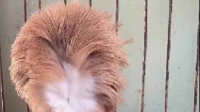 等了半天也没回头