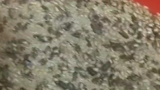 来吧一起创业养殖