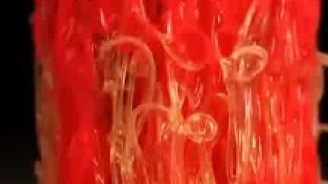 灵感来源于生活