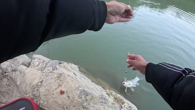 意外意外真不是故意的