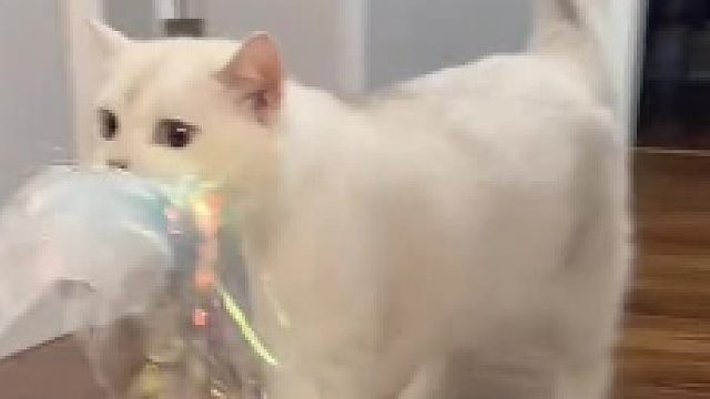 我感觉我哄不好了