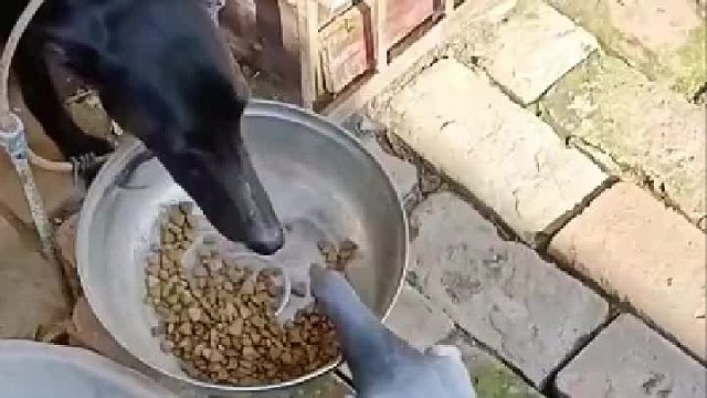 好久没吃肉了，今天开个荤