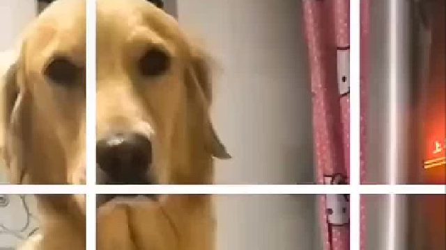 像不像你女朋友