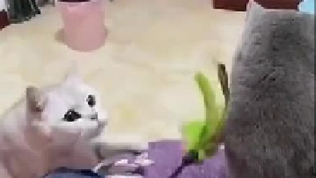 这是一场错误的战争