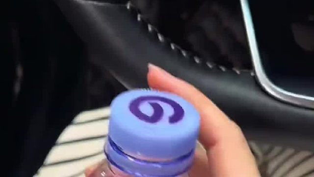 对不起猫咪我不是故意的