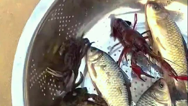 这玩意不飞的时候还整个怠速