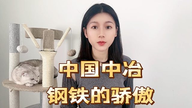 中国中冶作为龙头央企，每年百亿利润，为何不分红？