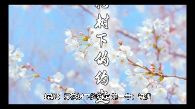 爱情故事系列小说