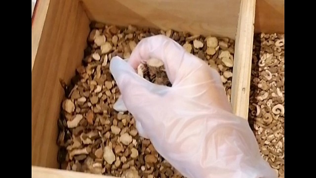 手抖？早发现早治疗早恢复