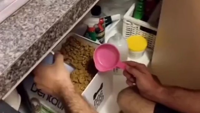 狗子：是不是我也要出去打工了