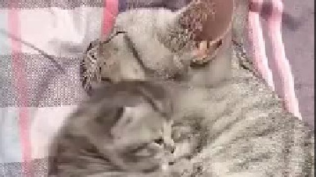 “我不要睡觉了啦，我要出去玩～！”