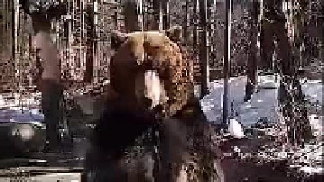 哈哈哈走路莫名妖娆