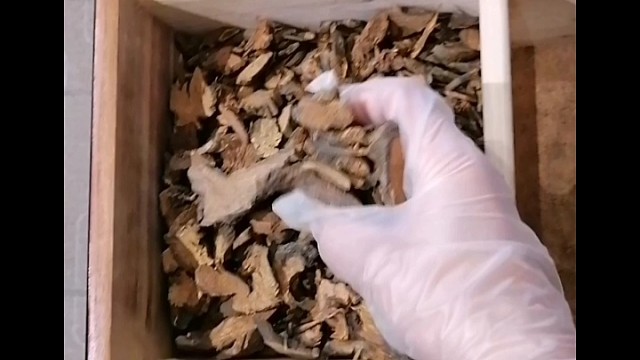 手抖？早发现早治疗早恢复