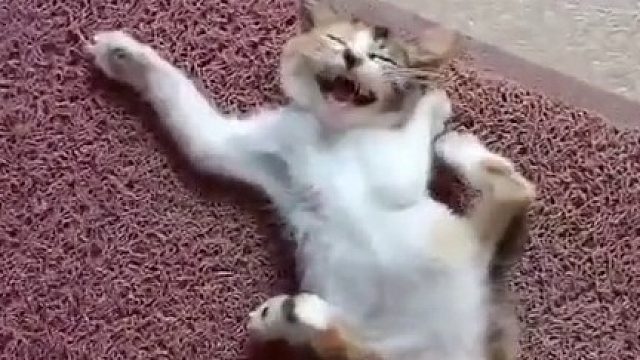 自己给自己绑了个死扣