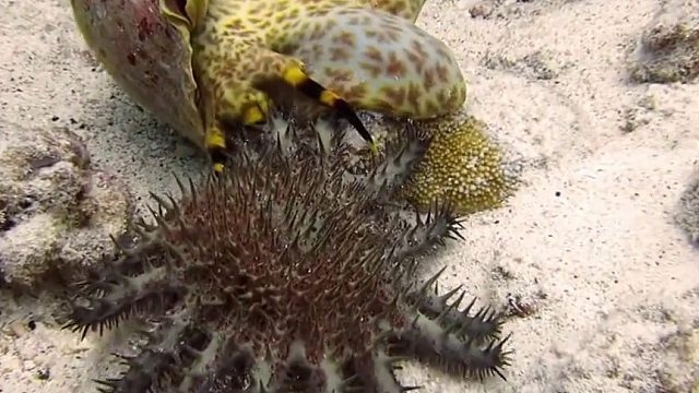 好不好吃，先尝一口