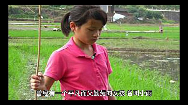 爱情故事系列小说