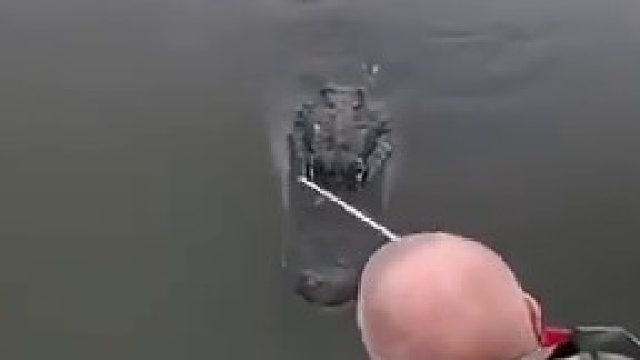 学会了，现在就去找鳄鱼对线