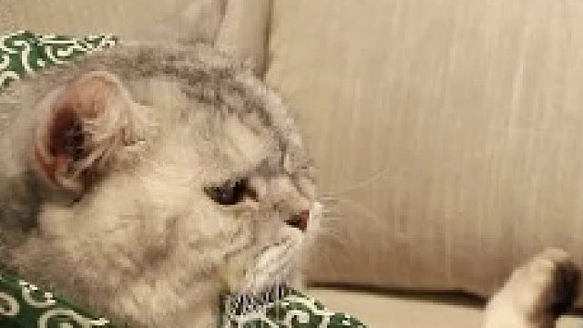 像极了熬夜看剧的你