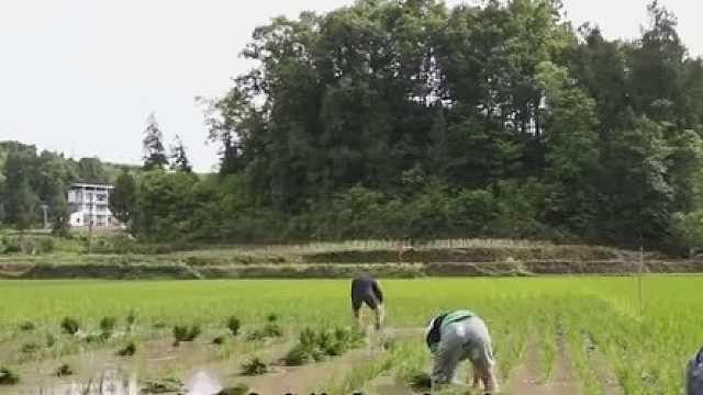 中国最高的4个人：第一身高2米48，却为何活不过18岁03