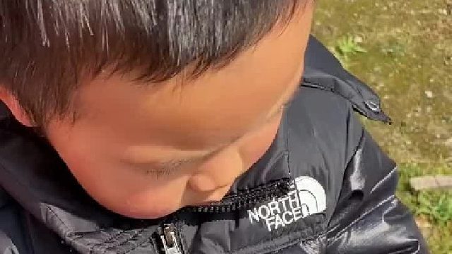 石头和狗便便分不清