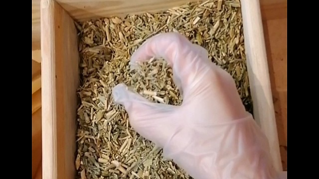 手抖？早发现早治疗早恢复