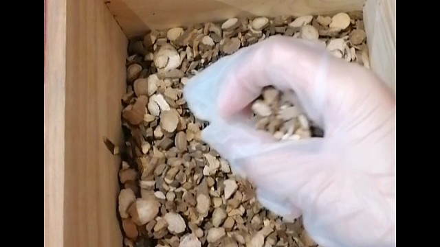 手抖？早发现早治疗早恢复