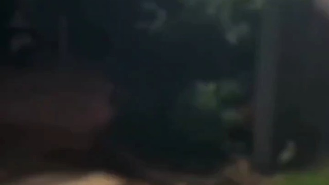 我回来了，想我了吗