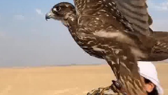 我不能无处可去，生活还是要继续 ——没有什么能一下打垮你，就像没有什么能一下拯救你