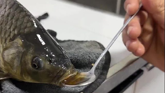 老婆说这样做出来鱼才好吃