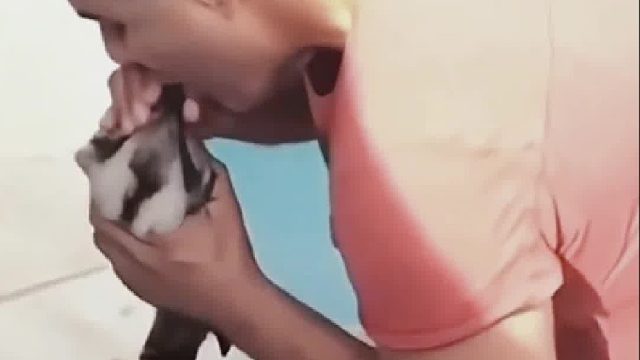 小哥从游泳池里救助了落水的笑翠鸟，懂得感恩的它带着孩子登门拜访