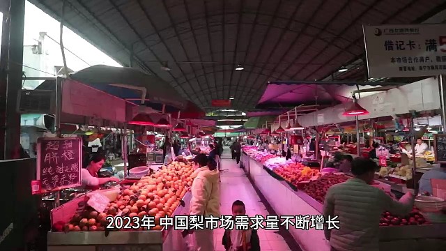 2023年梨的市场与出口