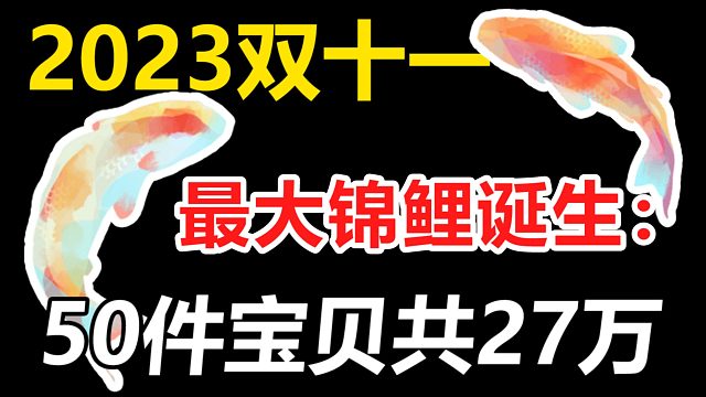 2023双十一最大锦鲤诞生：50件宝贝共27万，本人激动哭了