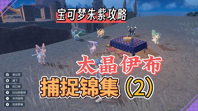 宝可梦朱紫攻略：太晶伊布，捕捉汇总（2）
