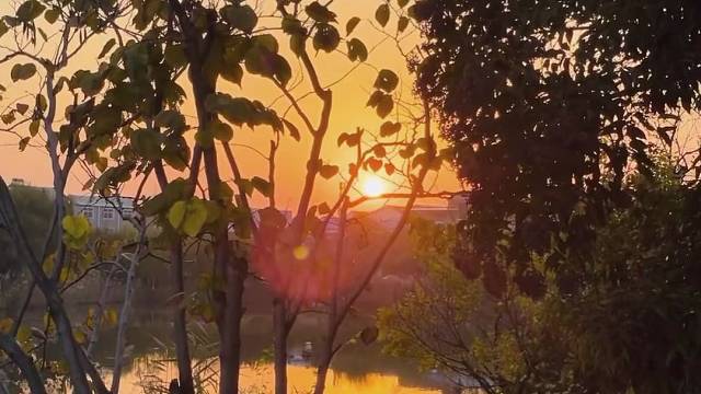 年轻这个借口你还能用多久