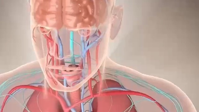 （植物神经紊乱）