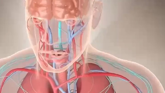 （植物神经紊乱）1