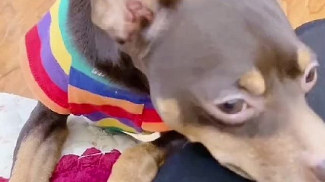 近在咫尺都不偷吃