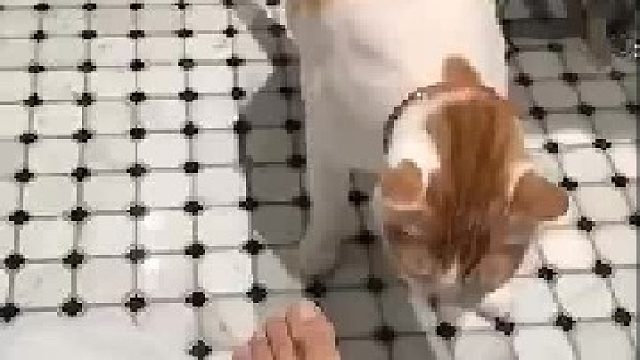 多懂事的孩子，背过身去实在是憋不住了