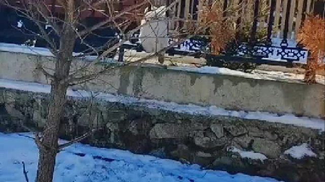 都是举脚之劳，不用太感谢我