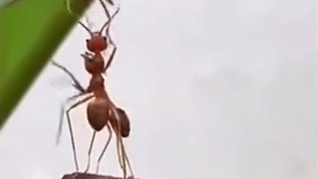 这个视频你悟到了什么