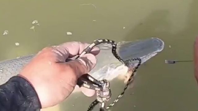 为什么用绳子不用抄网？