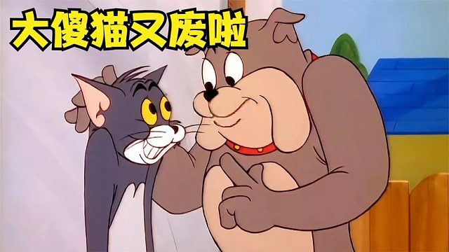 为了让老韩小伟看孩子，长海答应给他一条鱼，谁知竟是一条鲨鱼