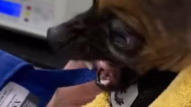 从虚张声势挣扎到向命运低头