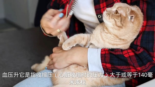 4状态#愿天下更健康更长寿