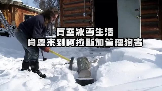 育空冰雪生活：阿拉斯加塔纳纳迎来又一轮寒潮木材价格一路高涨