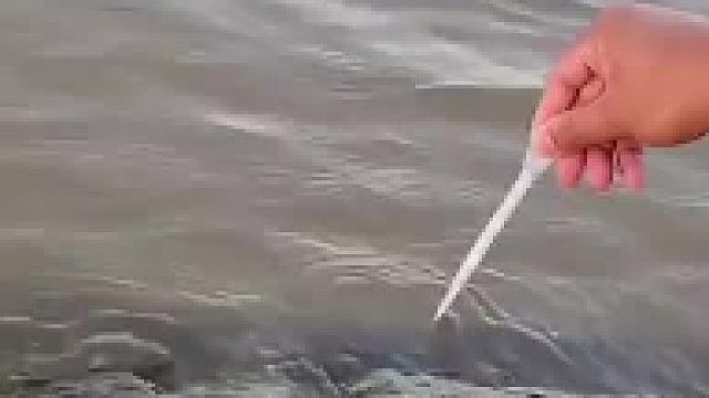 这就是不要喝生水的原因