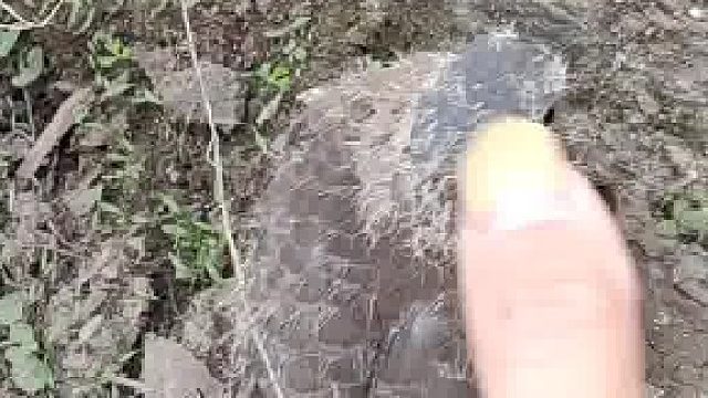 看着羽翼未丰，毫毛未退，没想到你还这么能飞哦