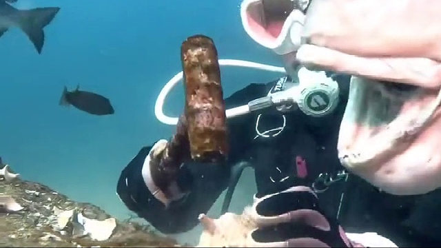 这鱼看着不太聪明的样子